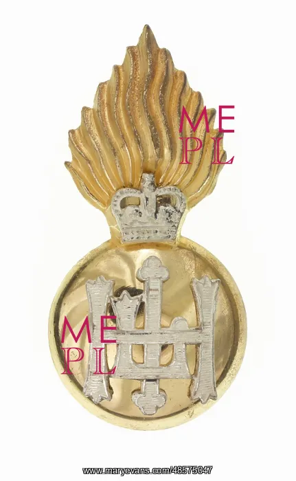 : Military Badge : Military Badge