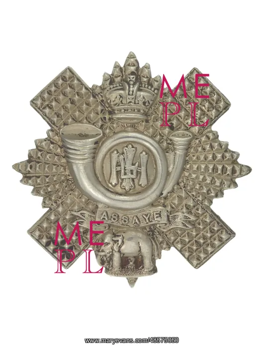 : Military Badge : Military Badge