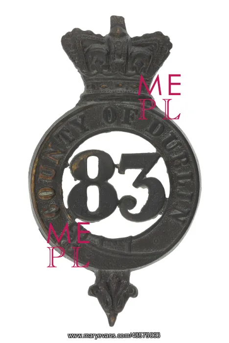 : Military Badge : Military Badge