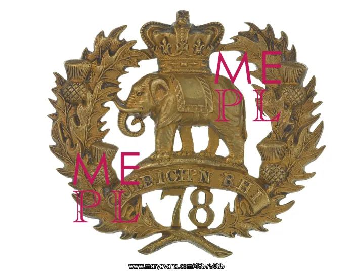 : Military Badge : Military Badge