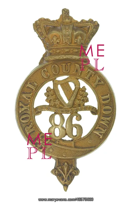 : Military Badge : Military Badge