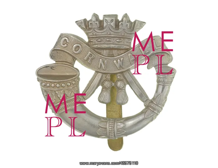  : Military Badge