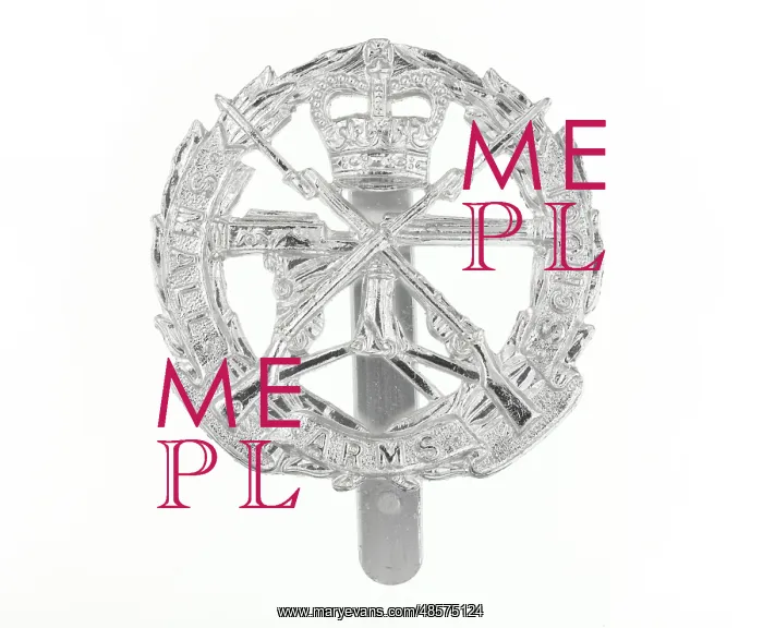 : Military Badge : Military Badge