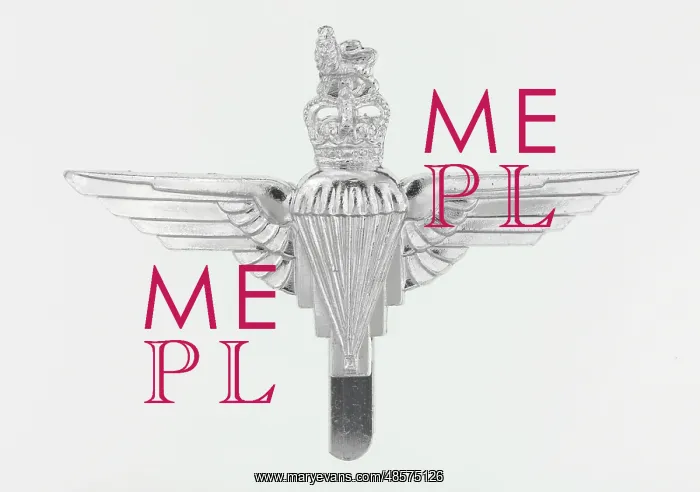 : Military Badge : Military Badge