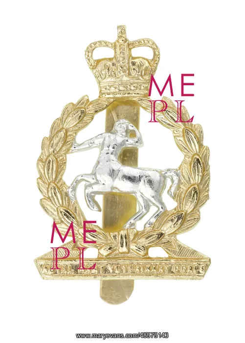 : Military Badge : Military Badge