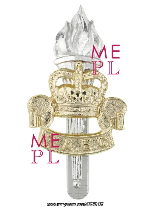 : Military Badge : Military Badge