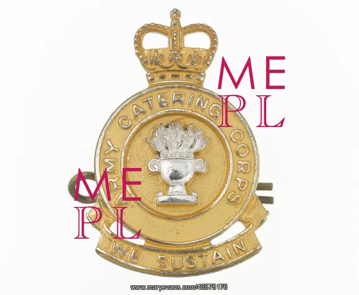 : Military Badge : Military Badge