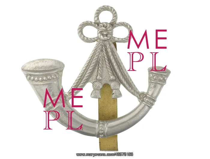 : Military Badge : Military Badge