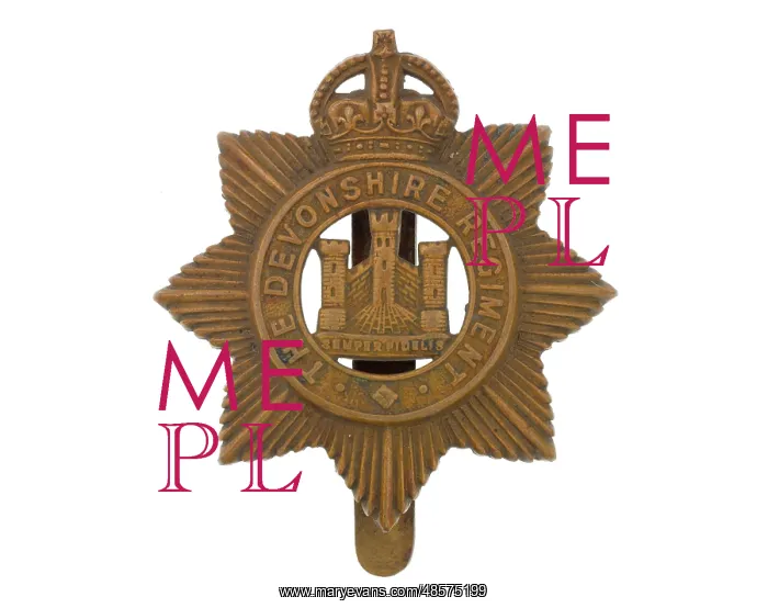 : Military Badge : Military Badge