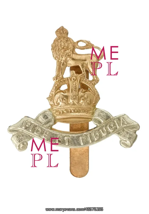: Military Badge : Military Badge