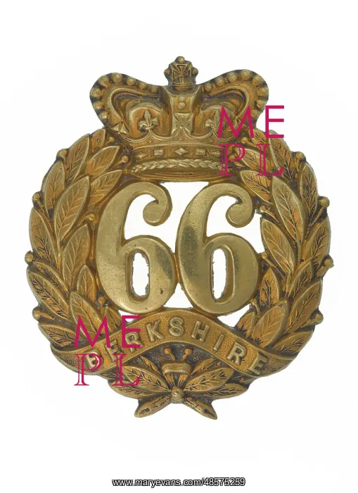 : Military Badge : Military Badge