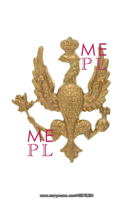  : Military Badge