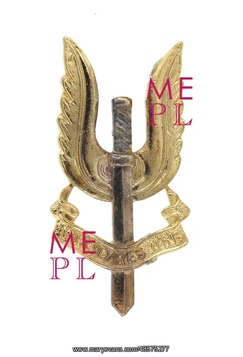 : Military Badge : Military Badge