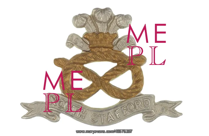 : Military Badge : Military Badge