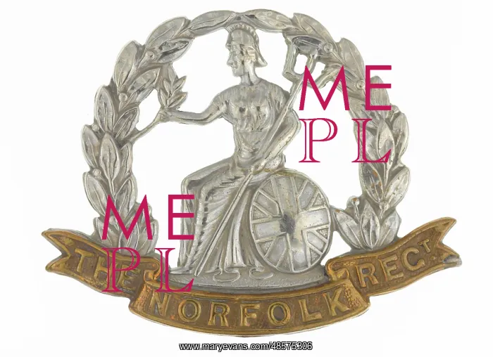 : Military Badge : Military Badge