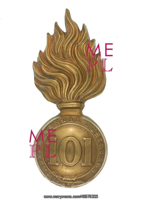 : Military Badge : Military Badge