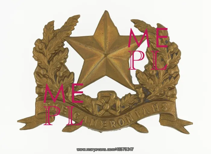 : Military Badge : Military Badge