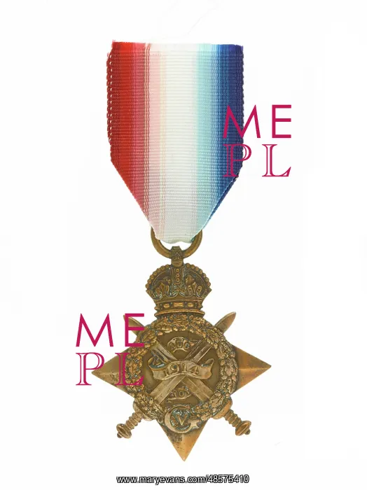 : Military Badge : Military Badge
