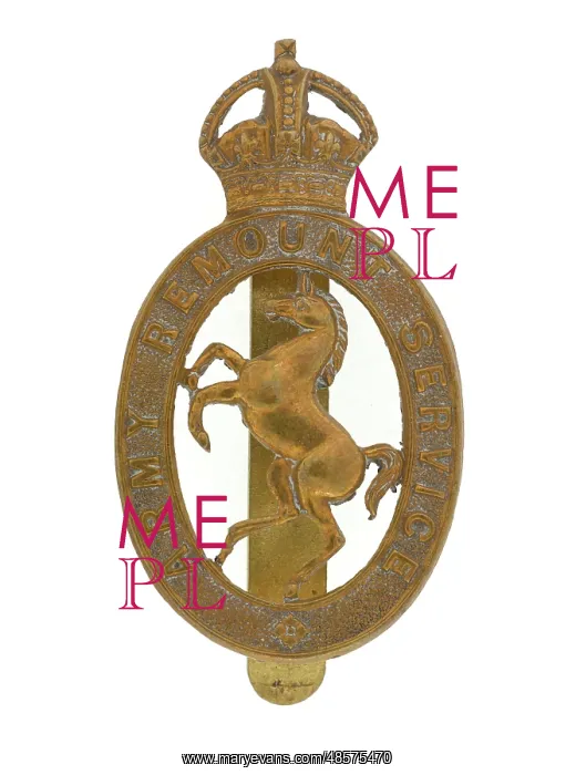 : Military Badge : Military Badge