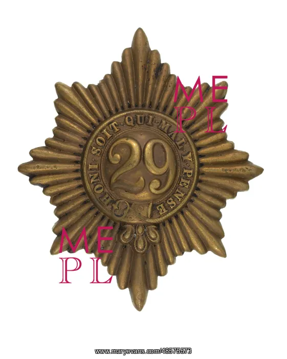 : Military Badge : Military Badge