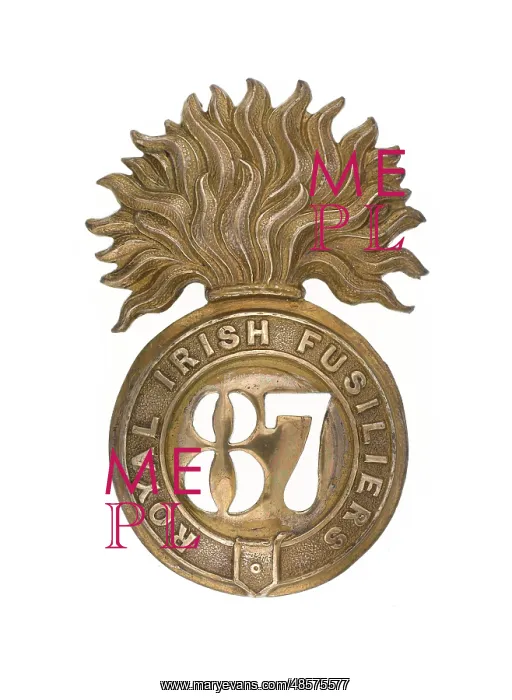 : Military Badge : Military Badge