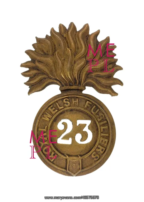 : Military Badge : Military Badge