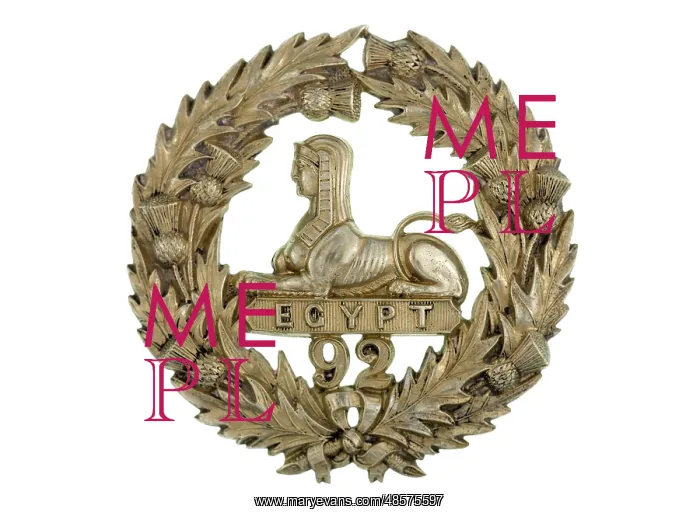 : Military Badge : Military Badge