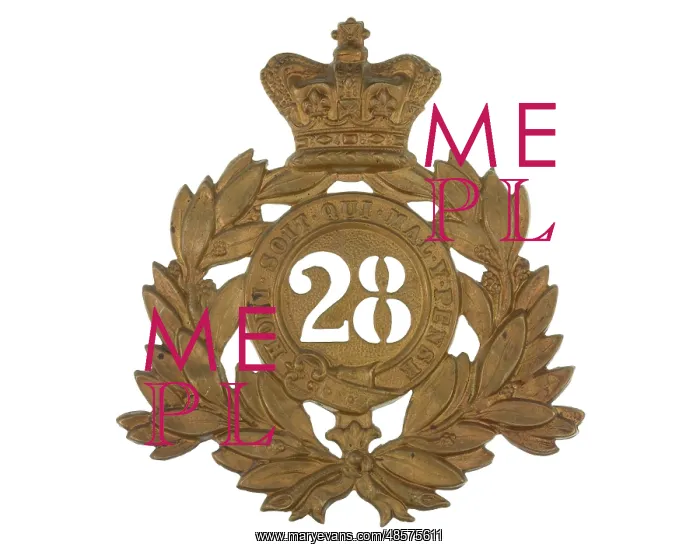 : Military Badge : Military Badge