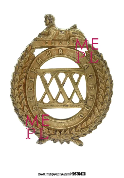 : Military Badge : Military Badge
