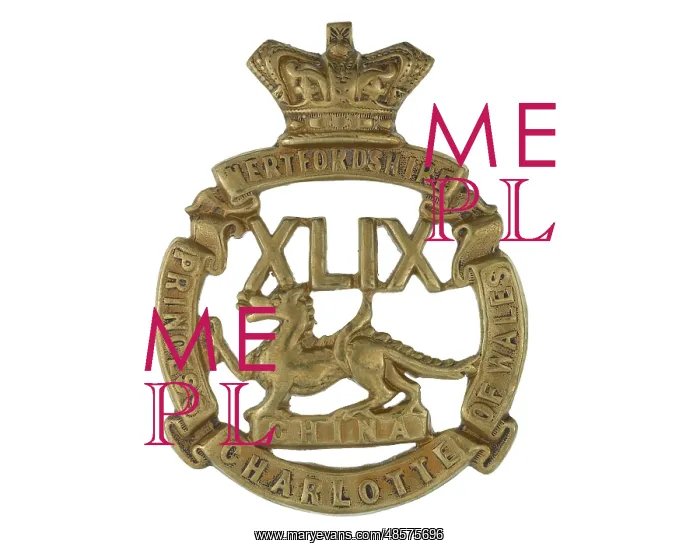 : Military Badge : Military Badge