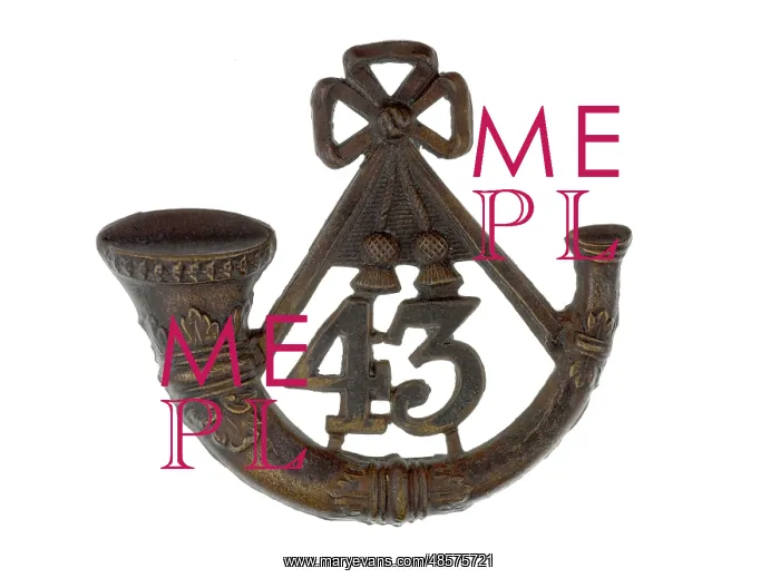 : Military Badge : Military Badge