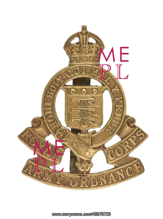 : Military Badge : Military Badge