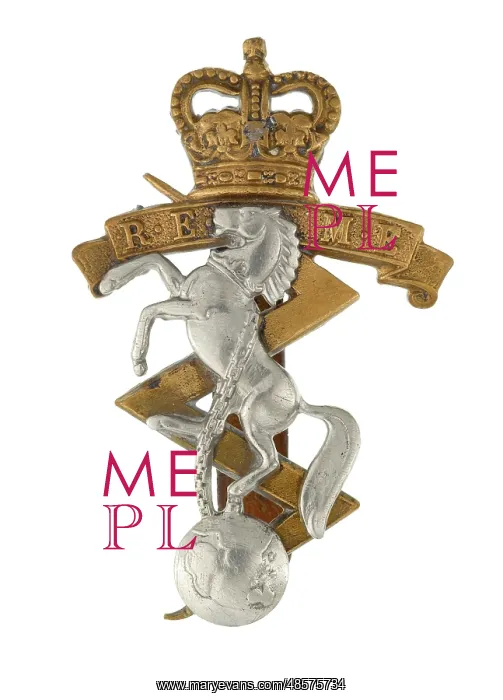 : Military Badge : Military Badge