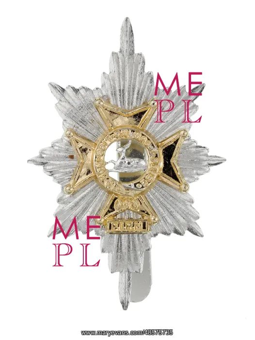 : Military Badge : Military Badge