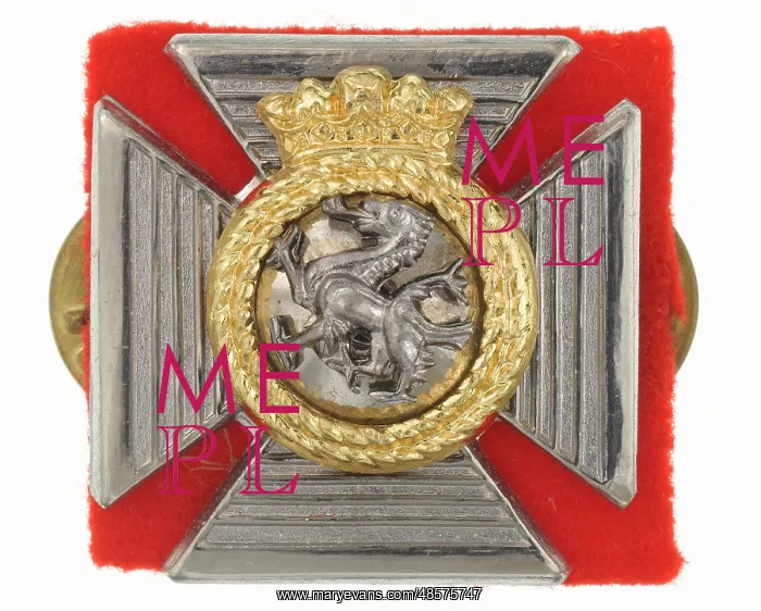 : Military Badge : Military Badge