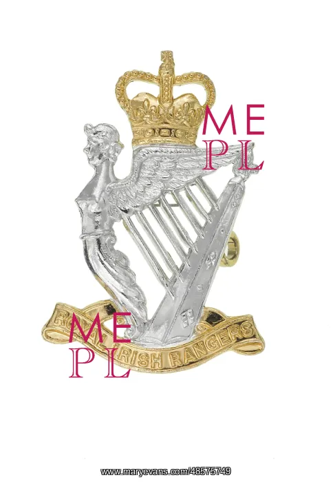 : Military Badge : Military Badge
