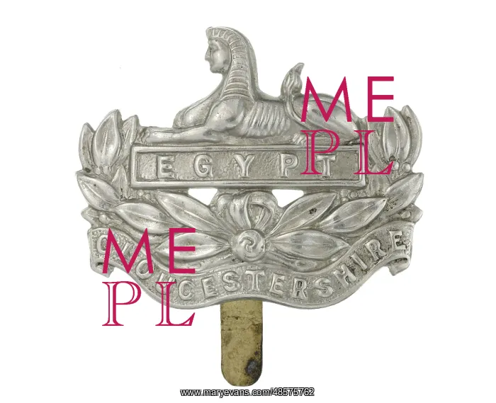 : Military Badge : Military Badge