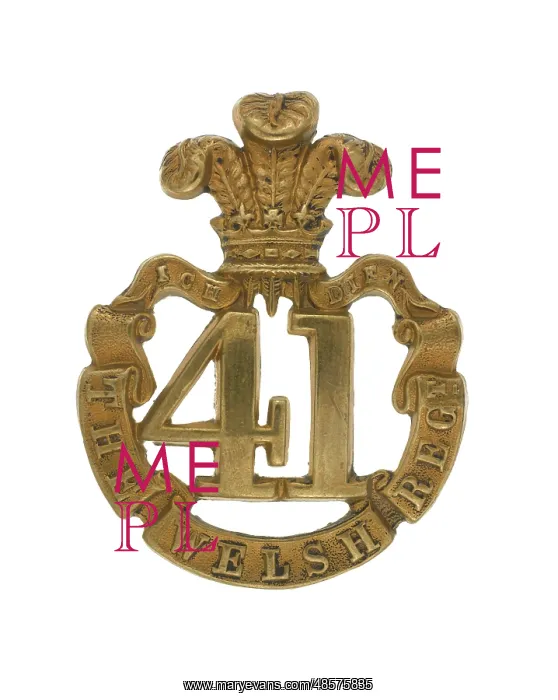: Military Badge : Military Badge