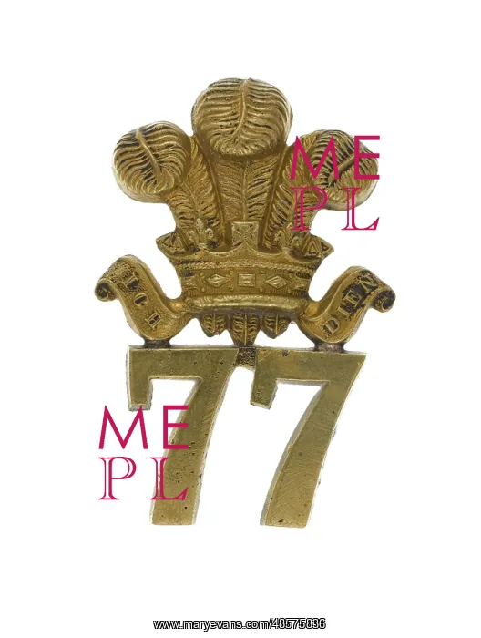 : Military Badge : Military Badge