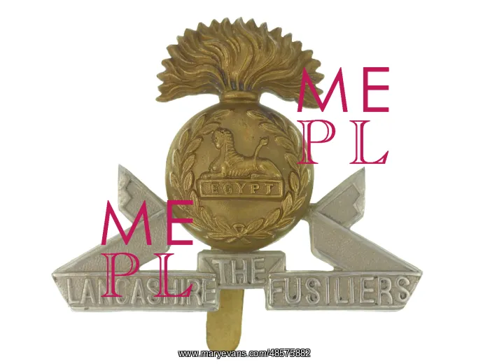  : Military Badge
