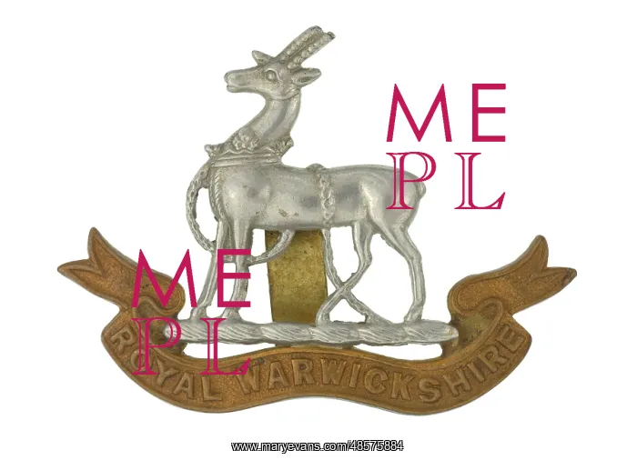 : Military Badge : Military Badge
