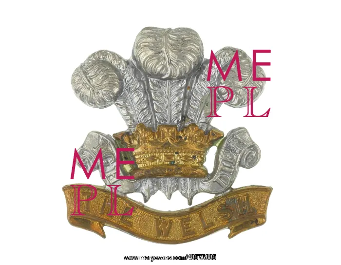 : Military Badge : Military Badge