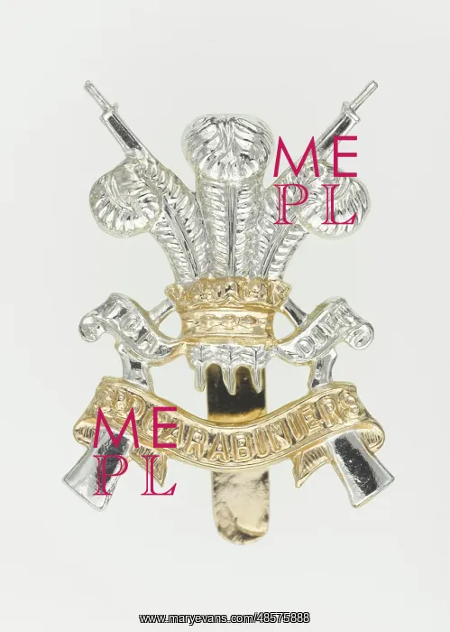 : Military Badge : Military Badge