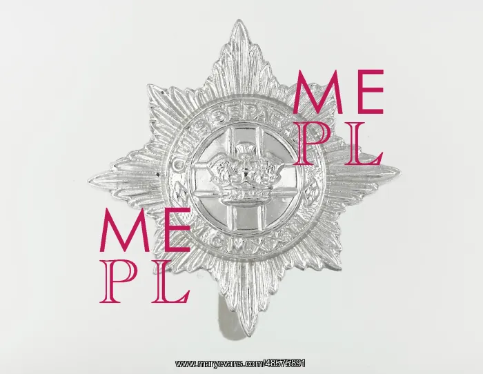 : Military Badge : Military Badge