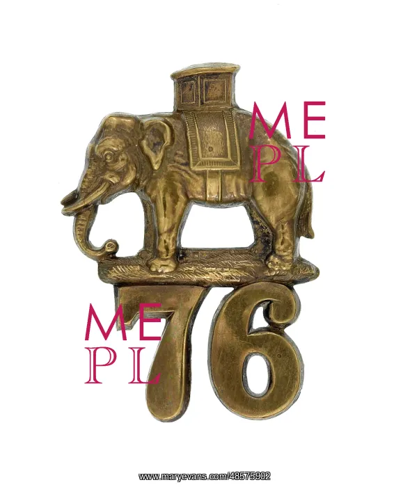 : Military Badge : Military Badge
