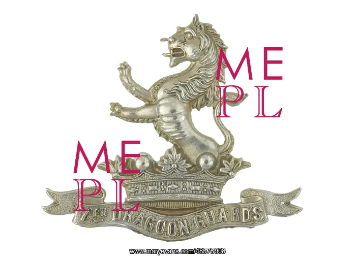: Military Badge : Military Badge