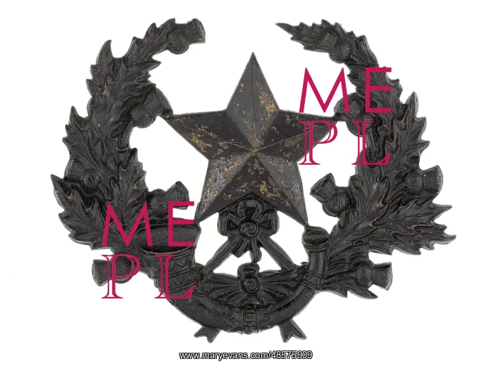 : Military Badge : Military Badge