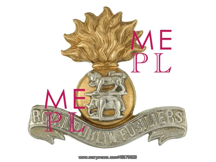  : Military Badge