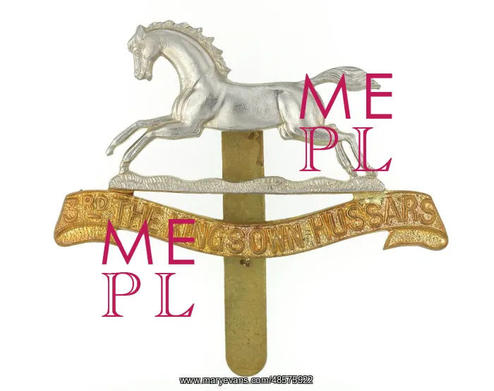 : Military Badge : Military Badge