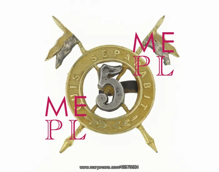 : Military Badge : Military Badge